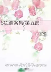 《（七五同人）SCI谜案集(第五部)》小说封面