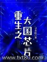《重生之大国芯片》小说封面