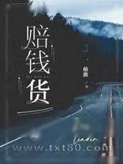 《赔钱货》小说封面