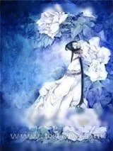 《钦钦》小说封面
