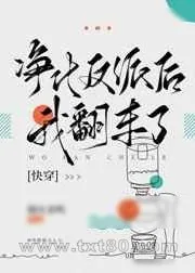 《净化反派后我翻车了[快穿]》小说封面