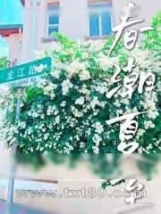 《春潮夏至》小说封面