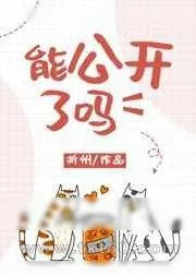 《能公开了吗》小说封面