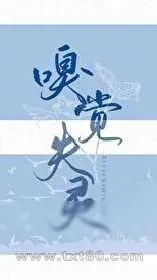 《嗅觉失灵》小说封面