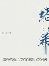 《塔洛希岛》小说封面