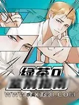 《绿茶O鉴别指南》小说封面