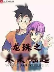 《龙珠之未来崛起》小说封面