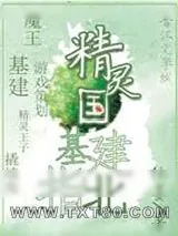 《精灵国度编年史》小说封面