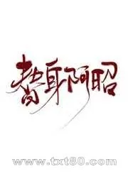 《替身阿昭gl》小说封面