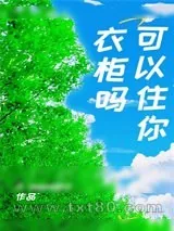 《可以住你衣柜吗》小说封面