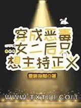 《穿成恶毒女二后只想主持正义》小说封面