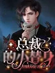 《总裁的小替身》小说封面