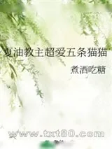 《夏油教主超爱五条猫猫》小说封面