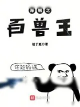 《海贼之百兽王》小说封面