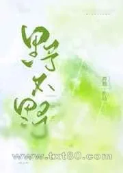 《野不野》小说封面