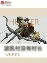 《波凯村没有村长》小说封面