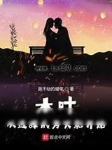 《木叶：从选择成为火影开始》小说封面