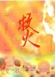 《救火》小说封面