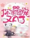 《少爷你家团宠又A了》小说封面