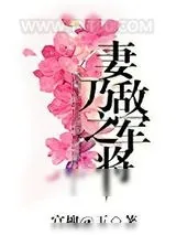 《妻乃敌军之将》小说封面