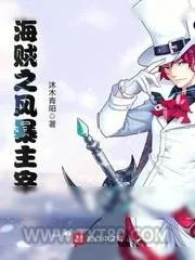 《海贼之风暴主宰》小说封面