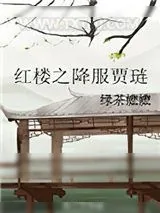 《红楼之降服贾琏》小说封面