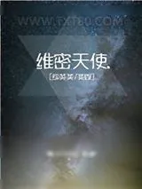 《维密天使[综英美/美娱]》小说封面