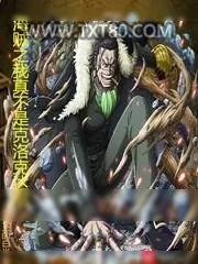 《海贼之我真不是克洛克达尔》小说封面