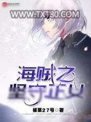 《海贼之坚守正义》小说封面