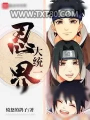 《忍界大统一》小说封面