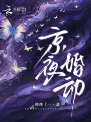 《京夜婚动》小说封面