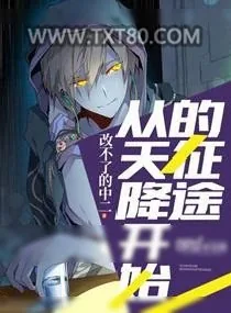 《从天降开始的征途》小说封面