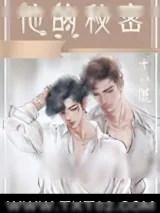《他的秘密》小说封面