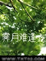 《霁月难逢》小说封面