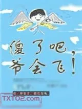 《傻了吧，爷会飞！》小说封面