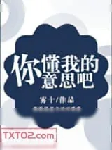 《你懂我的意思吧》小说封面
