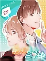 《前夫售价三百块》小说封面