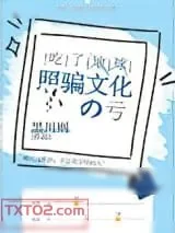 《吃了地球照骗文化的亏》小说封面