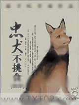 《忠犬不挑食[快穿]》小说封面