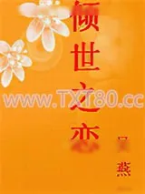 《倾世之恋》小说封面