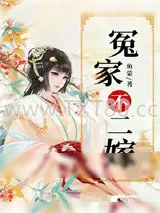 《冤家不二嫁》小说封面