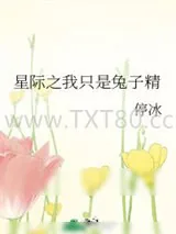 《星际之我只是兔子精》小说封面