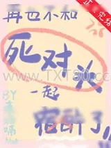 《再也不和死对头宿醉了》小说封面