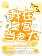 《我在皇宫当老大》小说封面