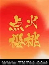 《点火樱桃》小说封面