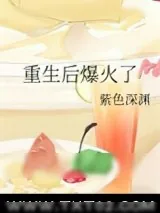 《重生后爆火了》小说封面