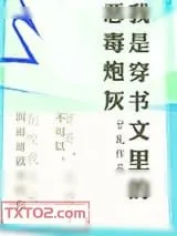 《我是穿书文里的恶毒炮灰》小说封面