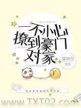 《一不小心撩到豪门对家》小说封面
