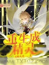 《精灵世界》小说封面