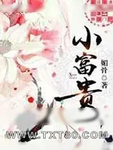《小富贵》小说封面